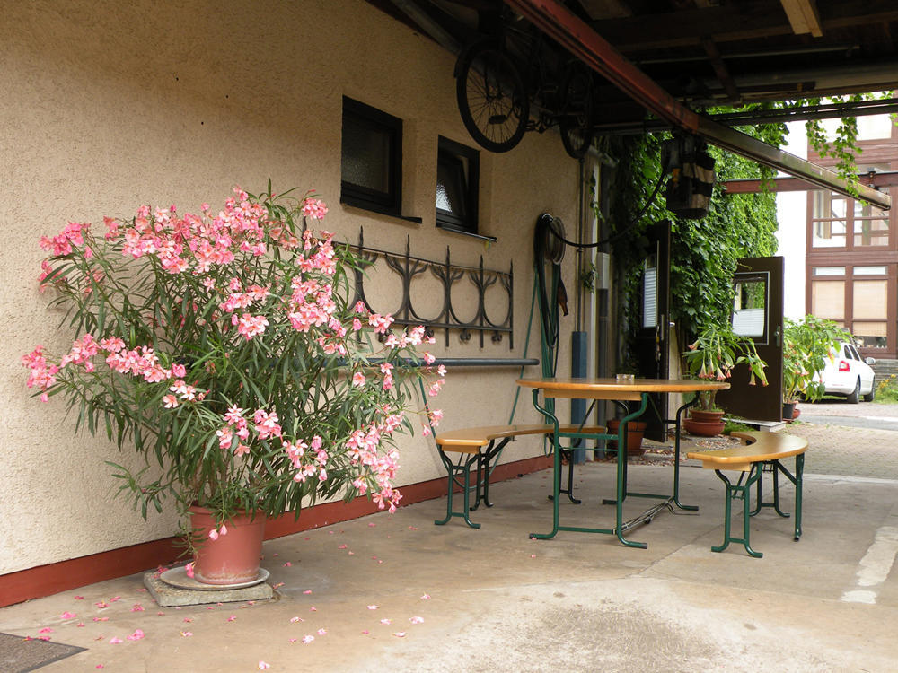 אייזנבאך Apartments Schramm מראה חיצוני תמונה