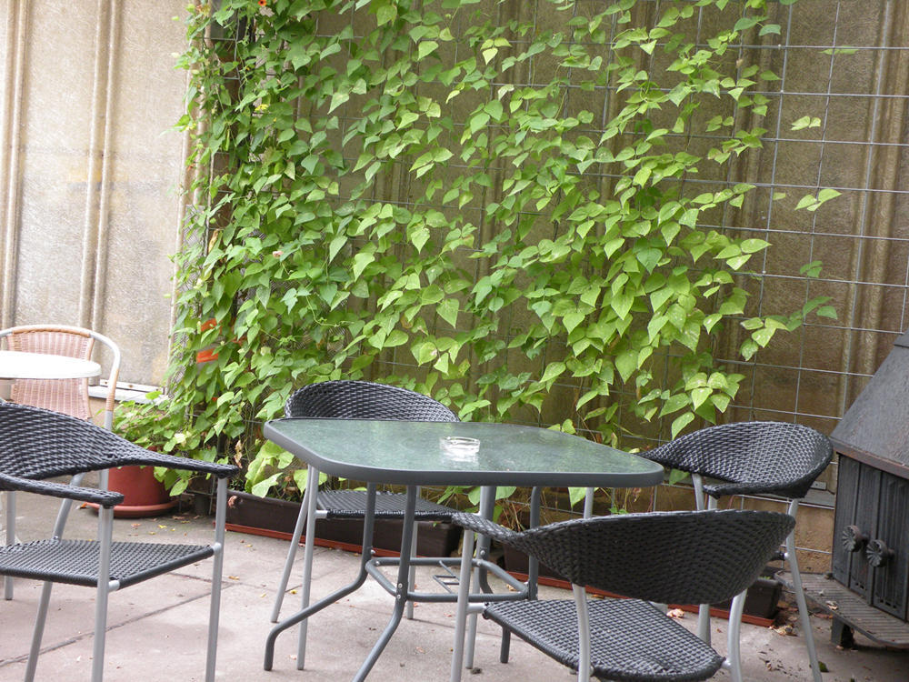 אייזנבאך Apartments Schramm מראה חיצוני תמונה