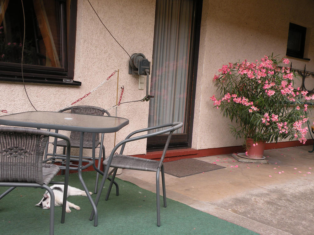 אייזנבאך Apartments Schramm מראה חיצוני תמונה
