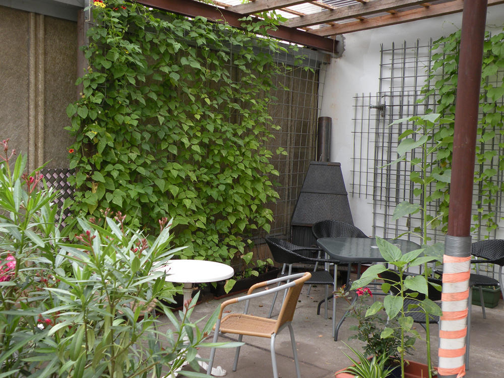 אייזנבאך Apartments Schramm מראה חיצוני תמונה